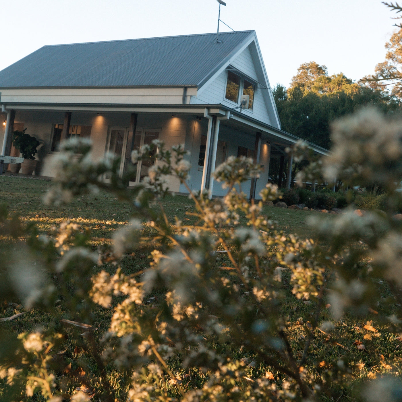 Winter Escape in the Hinterland